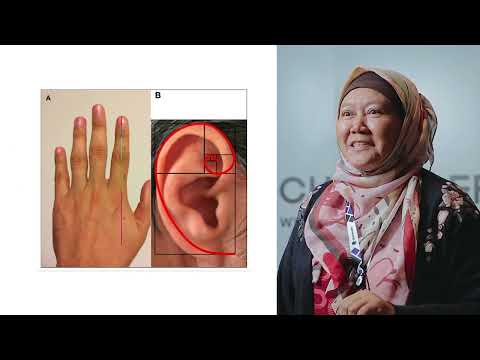 Techtraders Fibonacci 2022 | Tour GMT