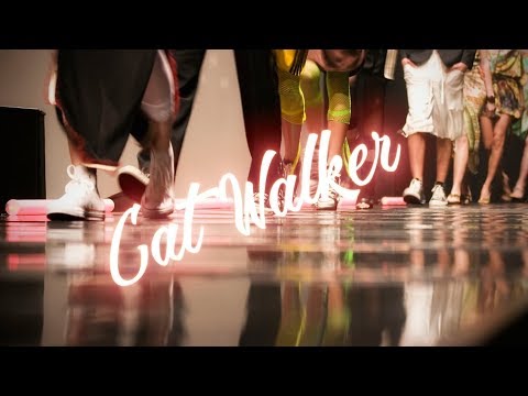 John Coggins / Devin Moore / Steve Kofsky - Cat Walker (Party Pop)