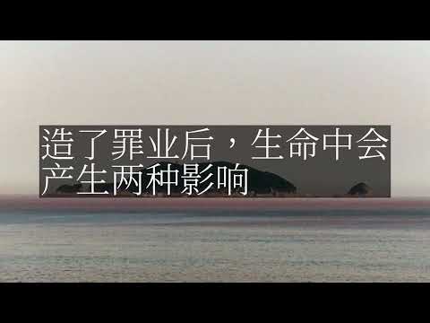 【人间修行录】 造了罪业后，生命中会产生两种影响
