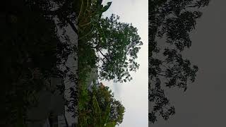 Download lagu SELAMAT PAGI HARI KAMIS !! #shortvideo #short mp3