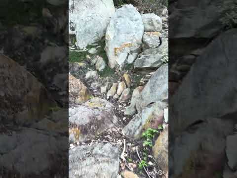 Trilha para os Olhos D’água - São Lourenço da Serra, Morpará Bahia Brasil