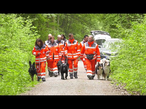 BRK-Bereitschaften: Rettungshundestaffel, Geländefahrzeuge, Betreuungsdienst