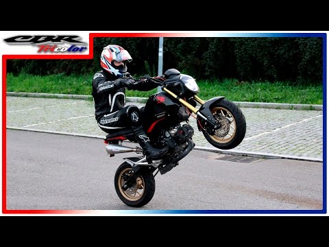✌ Grom / MSX Wheelie Evolution (Balance Point) - PRACTICE