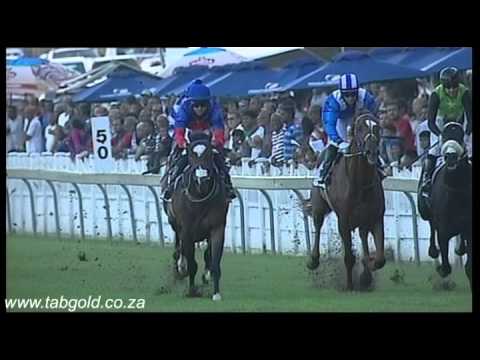 20150530 Greyville Race 7 won by  FRENCH NAVY