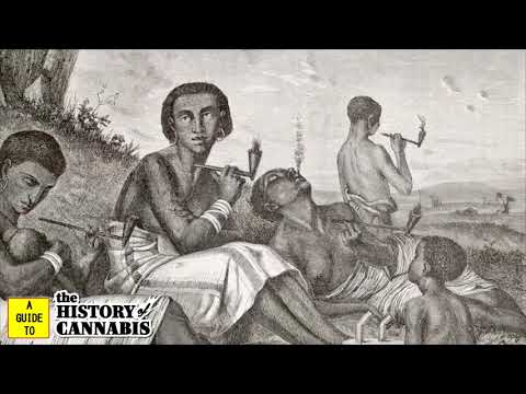 THE HISTORY OF CANNABIS (Ep 2) Protoculture
