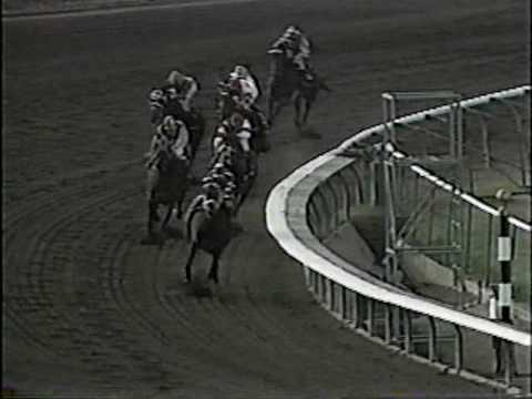 Landaluce - 1982 Oak Leaf Stakes (G1)