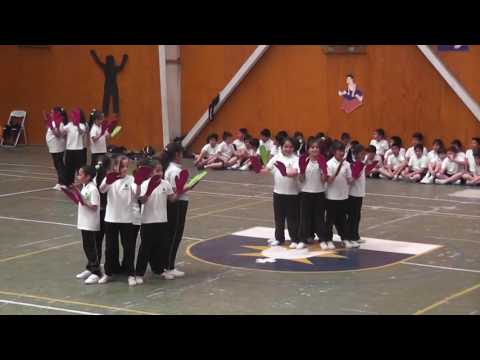 Revista de Gimnasia 3° Básico A
