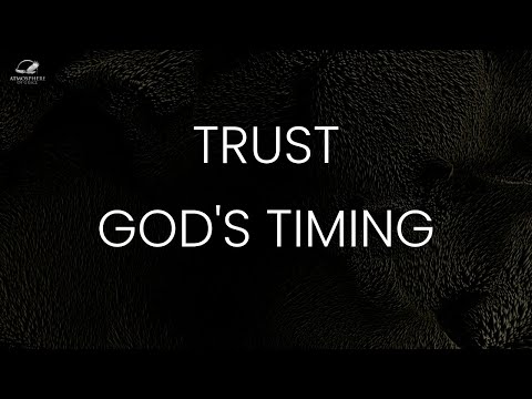 Witness21  2024 05 22