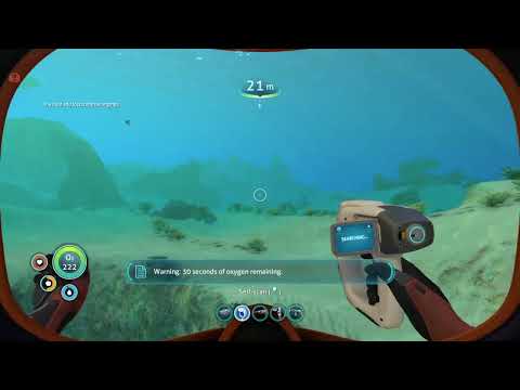 Were to find a mesmer egg:Subnautica