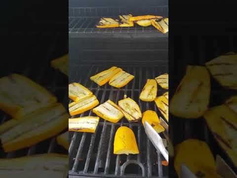 Grilled squash