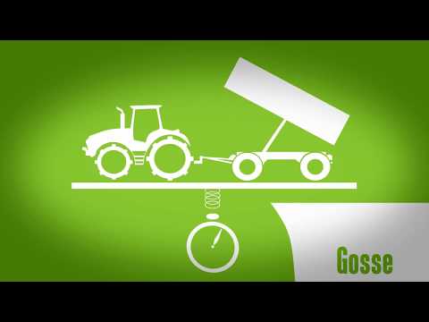 Vom Weizenkorn zum Typenmehl