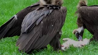 Reportáž z workshopu Mladých reportérov v Bojniciach