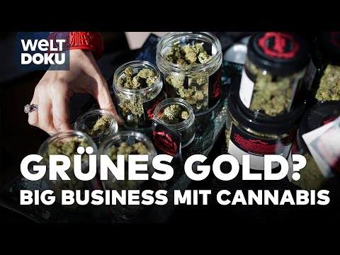 Cannabis in Kalifornien: Humboldt County & die Legalisierung