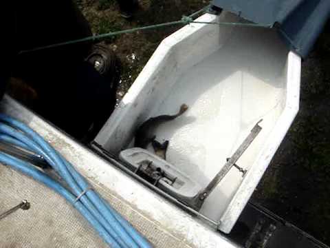 POPULARE CRAP MARE LFG POENARI