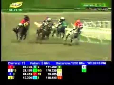 LA RINCONADA 11 CARRERA, DOMINGO 08 DE NOVIEMBRE DEL 2015