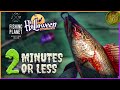 How To Catch The Pikeslasher In 2 MINUTES OR LESS Fishing Planet