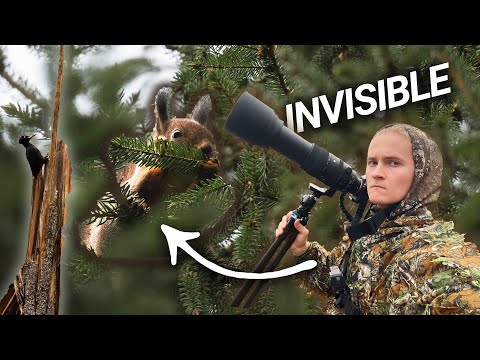 pov: relaxing wildlife photography In Stealth Mode with the Sony A7III