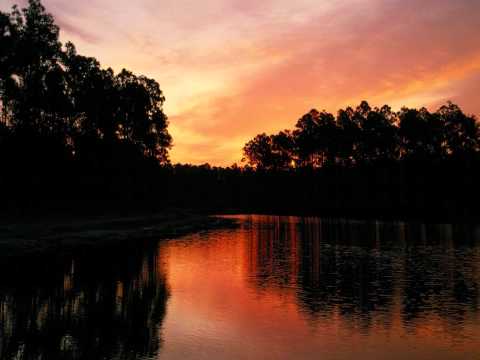 Eco feat. The Yellow Chair - How To Do Your Job