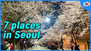 7 Places to visit in Seoul (spring vlog) | Korea Travel Tips