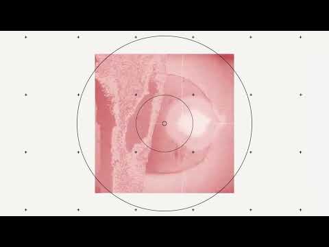 Simina Grigoriu - Layers of Reality | DCLTD