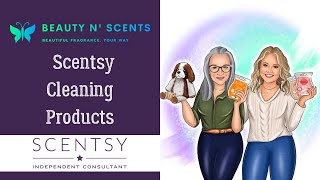 Scented Sunday - Scentsy Cleaning 101, what they are and are not