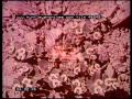 North America Desert Areas 1950 S FIlm 46245