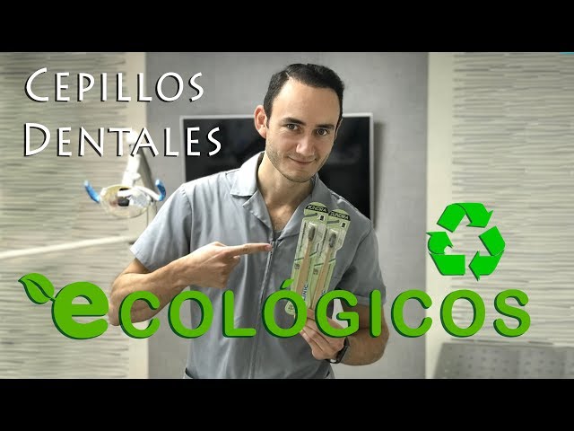 Vídeo relacionado con Wild & Stone | Cepillo De Dientes De Bambú Orgánico | Cuatro Patrones Diferentes | Cerdas De Fibra DuPont | Mango 100% Biodegradable | Cepillos De Dientes De Bambú Ecológicos Veganos (Firme)