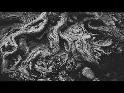 KCO & Golden - Drzewa