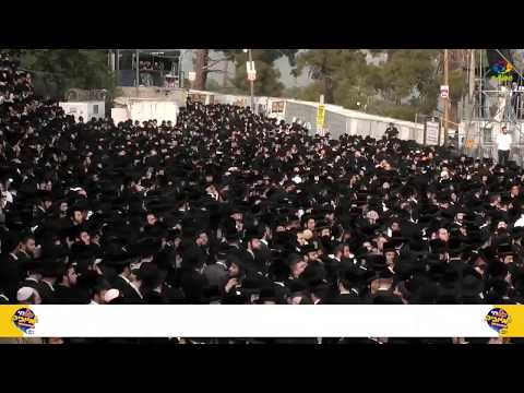 ל"ג בעומר | שידור חוזר - תולדות אברהם יצחק - מירון תשע"ט | Replay - Toldos Avrohom Yitzchok - Meron