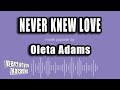Oleta Adams - Never Knew Love (Karaoke Version)