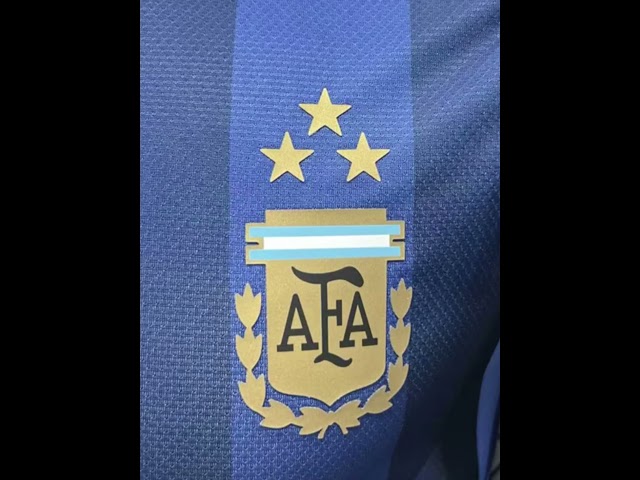 Vídeo relacionado con Camiseta Customised_Perfection de edición limitada Gris gris Medium