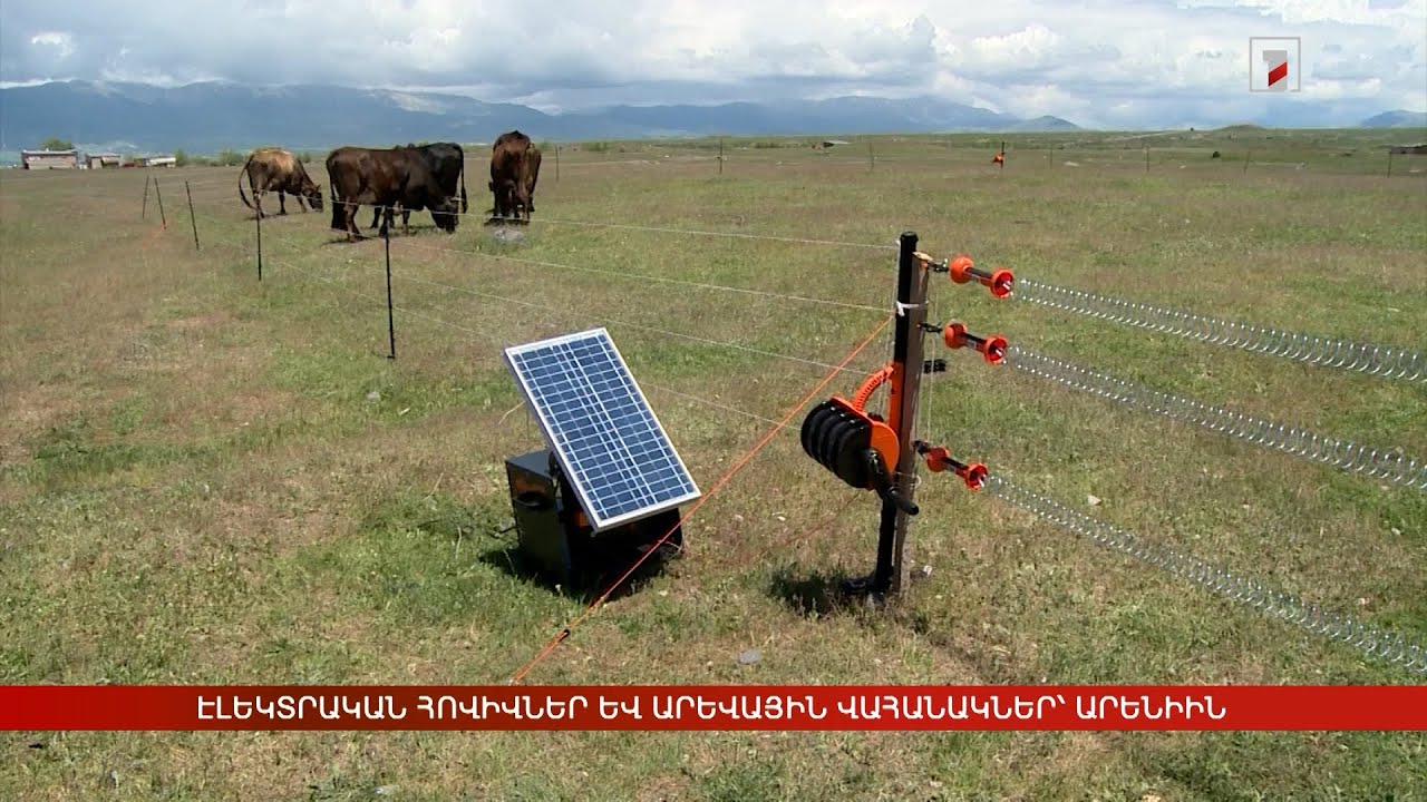 Էլեկտրական հովիվներ և արևային վահանակներ՝ Արենի համայնքին