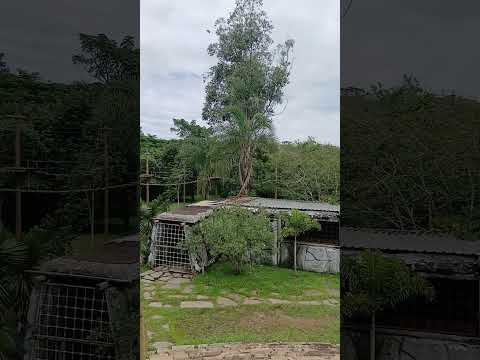 Complexo Salto Corumba de Goiás