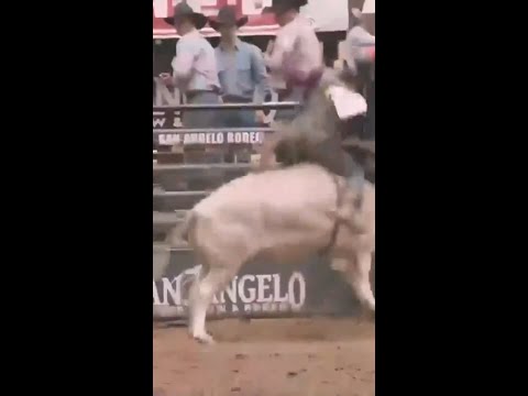 Ernie Bob Goes Flying