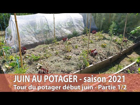 , title : 'TOUR DU POTAGER - début juin 2021 - 1/2'