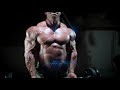 Shoulder workout , vecchi mattia IFBB pro bodybuilder