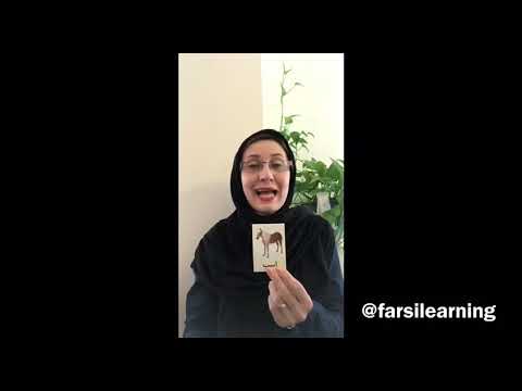 APRENDER PERSA (FARSI) - VOCABULARIO - CLASE Nº11