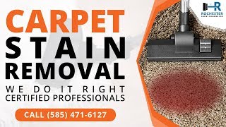 Carpet Cleaning Company Rochester Ny Carpet Cleaning Pro Rochester