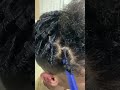 How To Do Coils On Short Hair Locs