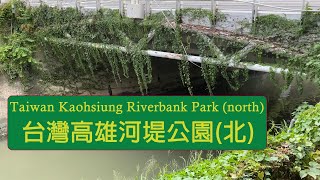 [閒聊] [4K] 台灣高雄河堤公園(北) | Walk vlog
