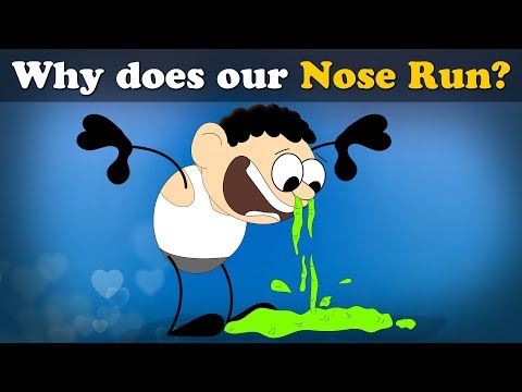 Why does our Nose Run? + more videos | #aumsum #kids #science #education #children