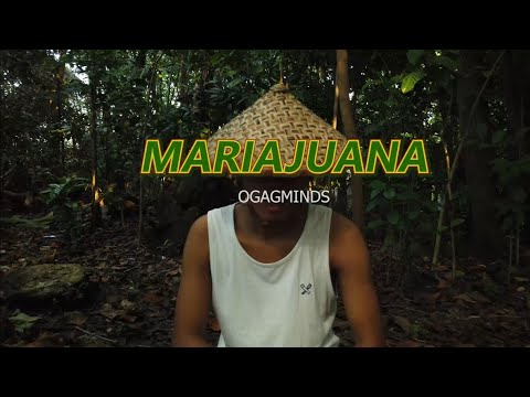 MARIAJUANA -  OGAGMINDS (Herbal na Utan)