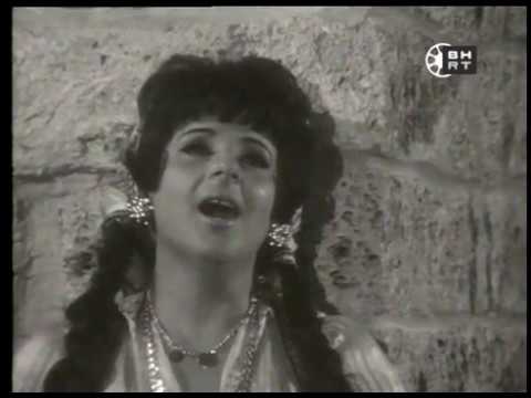 Sjajna Zvijezdo - Zora Dubljevic