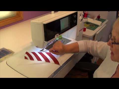 My Machine applique stitch.