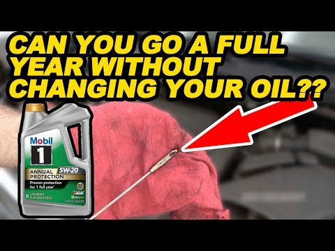 Can You Go a Full Year Without Changing Your Oil??