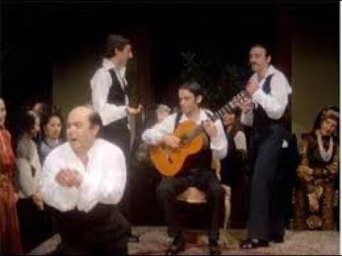 LA CANZONE DI FILOMENA KARAOKE CON CORI LINO BANFI VIENI AVANTI CRETINO cover test