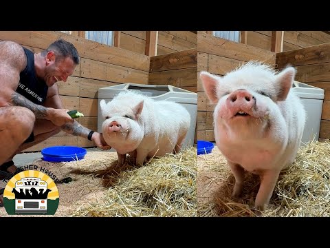 I've never captured a transformation on camera like this | The Asher House