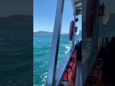 Fitzroy Island Full Day Tour | Things to Do | Queensland