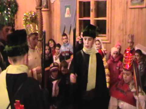 viflaimul din tisa 2010