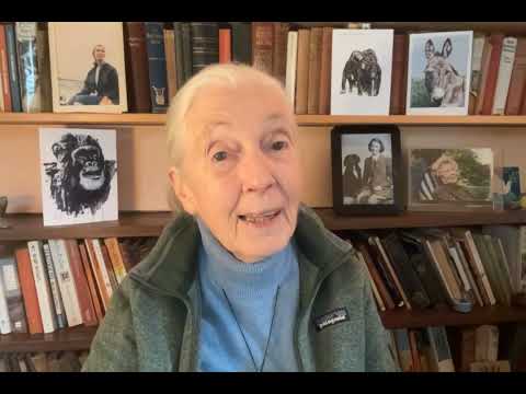 Kyambura Gorge Ecotourism Project: Partnership with Jane Goodall Institute